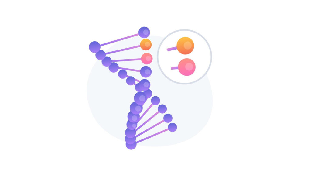 California Meeting on Monomers of Lipids